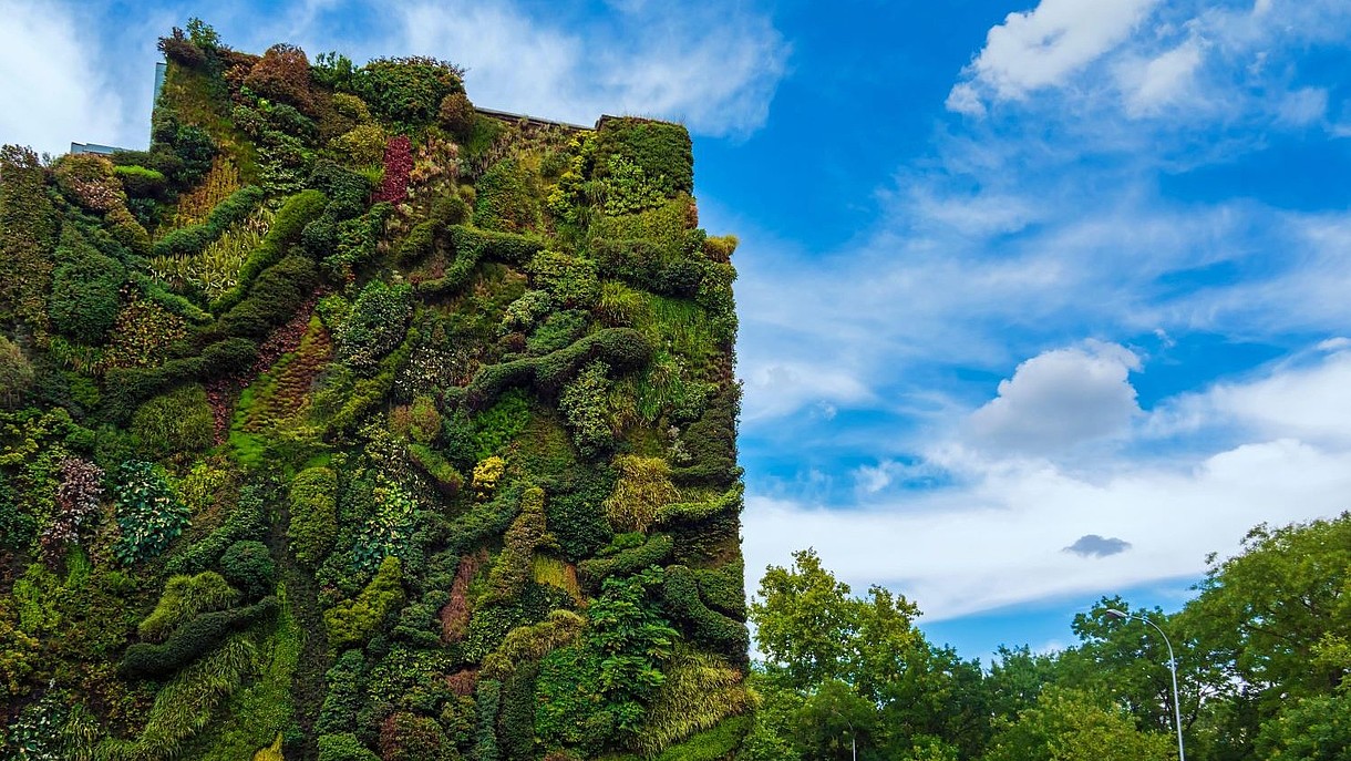 © Juan Miguel Cervera Merlo / Alamy Stock Foto The facade of a building is covered by a vertical garden.