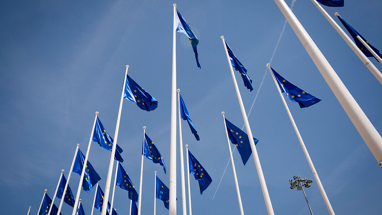 © Rob Wilkinson / Alamy Stock Foto Numerous European flags waving in the wind are photographed from frog persective.