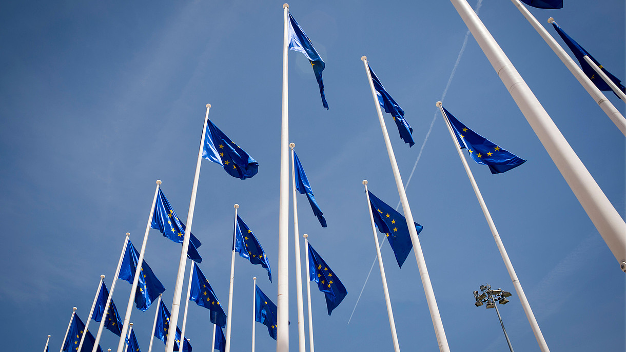 © Rob Wilkinson / Alamy Stock Foto Numerous European flags waving in the wind are photographed from frog persective.