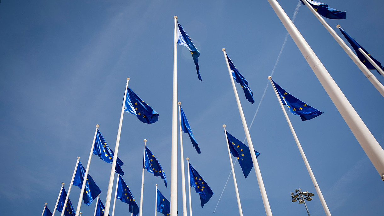 © Rob Wilkinson / Alamy Stock Foto Numerous European flags waving in the wind are photographed from frog persective.