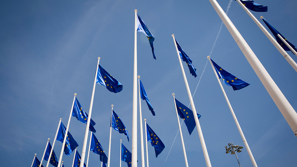 © Rob Wilkinson / Alamy Stock Foto Numerous European flags waving in the wind are photographed from frog persective.