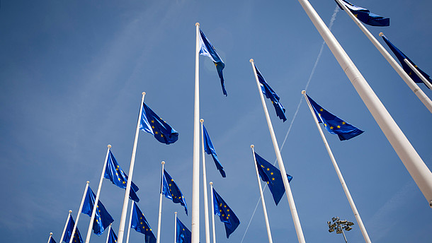  Numerous European flags waving in the wind are photographed from frog persective.