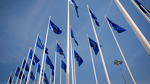  Numerous European flags waving in the wind are photographed from frog persective.