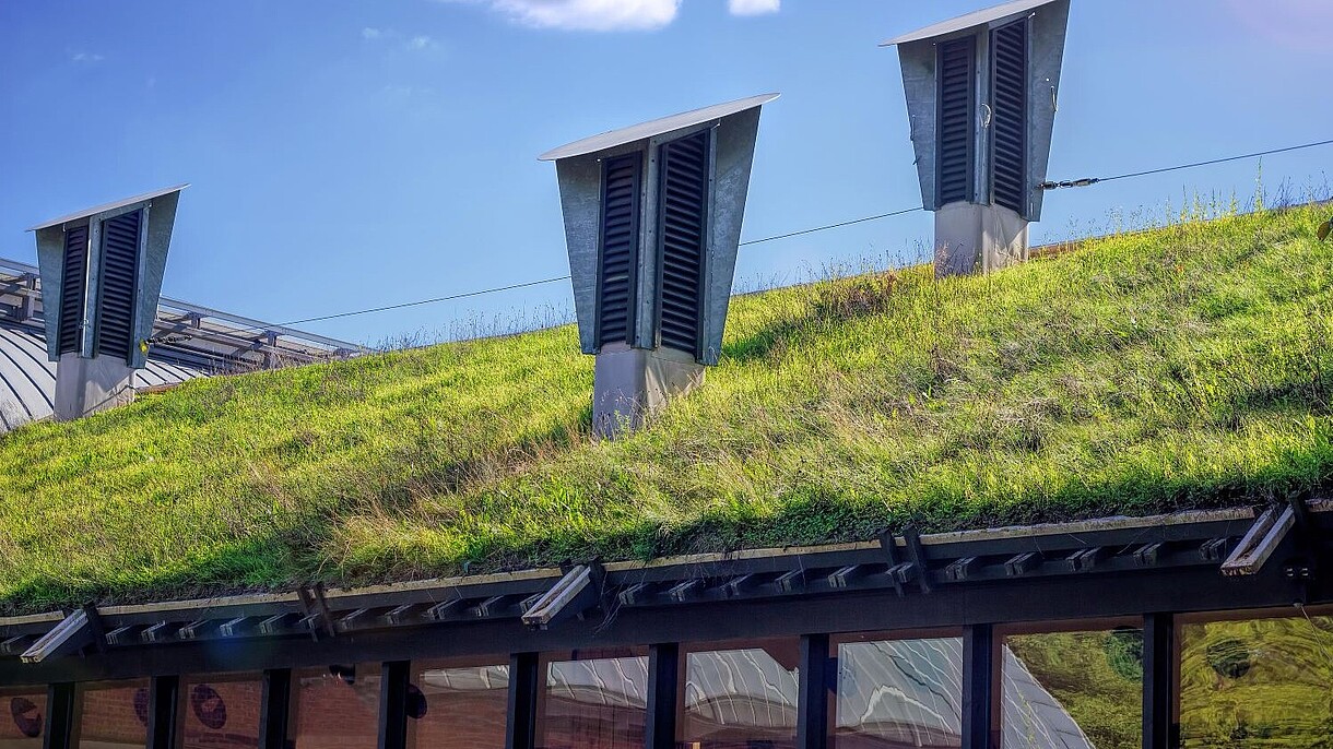 © Joseph Golby / Alamy Stock Foto A detail shot of a house with a greened roof.