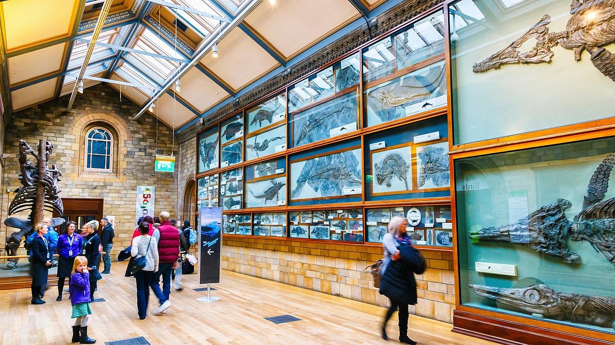 © MIKEL BILBAO GOROSTIAGA- TRAVELS / Alamy Stock Foto Numerous people walk past museum displays consisting of ancient fossils.