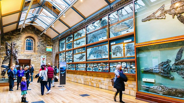  Numerous people walk past museum displays consisting of ancient fossils.